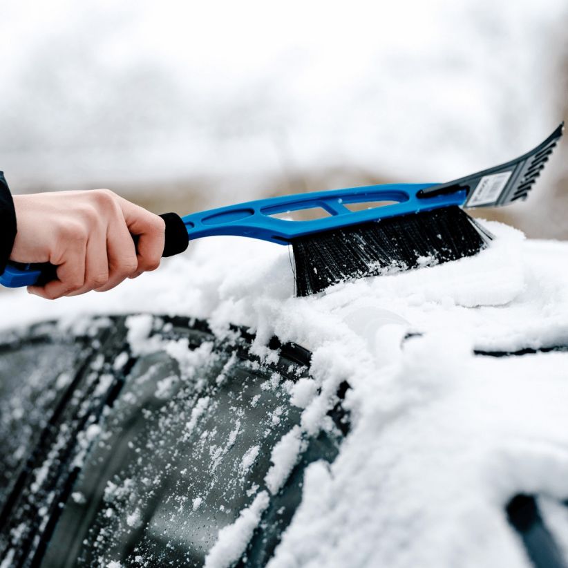 PERIE-RAZELĂ CARDOS CU MÂNER CALD - imagine 4